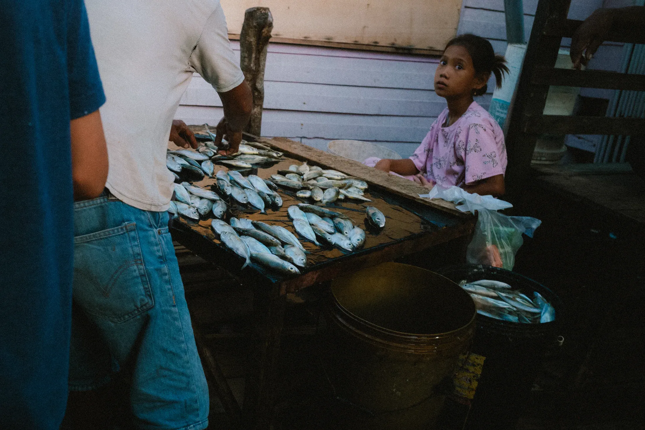 Young fish seller seated behind rows of fish arranged on a market table.